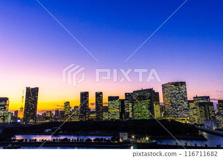 Image of Tokyo Bay area and Tokyo Tower at dusk 116711682