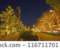 illumination light 116711701