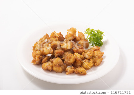 Fried chicken cartilage (curry flavor) Fried chicken cartilage (curry flavor) 116711731
