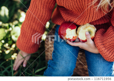 Child picking apples on farm in autumn. Little girl playing in tree orchard. Healthy nutrition. Cute little girl eating red delicious fruit. Harvest Concept. Apple picking. 116711956