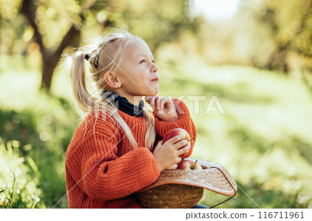 Child picking apples on farm in autumn. Little girl playing in tree orchard. Healthy nutrition. Cute little girl eating red delicious fruit. Harvest Concept. Apple picking. 116711961