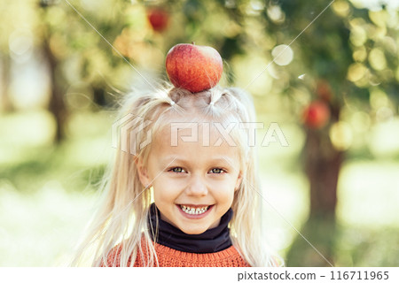 Child picking apples on farm in autumn. Little girl playing in tree orchard. Healthy nutrition. Cute little girl eating red delicious fruit. Harvest Concept. Apple picking. 116711965