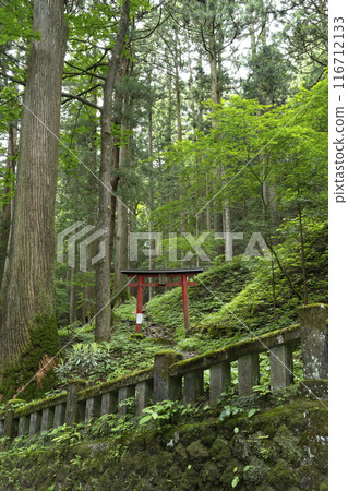 榛名神社入口 116712133