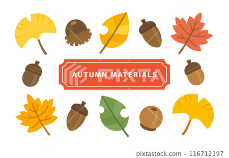 A set of autumn nature illustrations. Cute illustrations of leaves and acorns. A set of autumn nature illustrations. Cute illustrations of leaves and acorns. 116712197