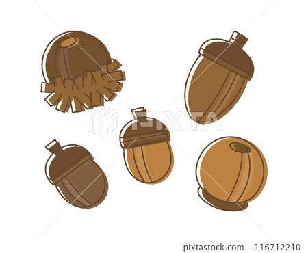 A set of autumn illustrations of acorns and oak trees. Round, cute nut material. Hand-drawn style. A set of autumn illustrations of acorns and oak trees. Round, cute nut material. Hand-drawn style. 116712210