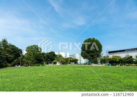 Meguro Ward Higashiyama Park, spacious, near Ikejiri-Ohashi Station, clear summer sky, Meguro Ward, Tokyo 116712460