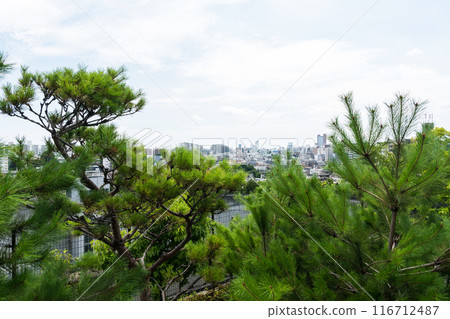 View of the city from Meguro Sky Garden, in front of Ikejiri-Ohashi Station, clear summer sky, Meguro-ku, Tokyo 116712487
