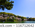 Cherry blossoms and boats at Chidorigafuchi 116712642