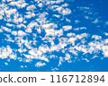 Summer blue sky and clouds 116712894