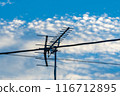 Summer blue sky and telephone pole 116712895
