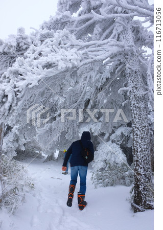 Snowy Hike on Mt. Hakkoda Snowy Hike on Mt. Hakkoda 116713056