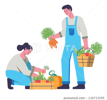 Farming couple harvesting their crops 116713595