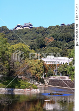 [Ehime Prefecture] Autumn Matsuyama Castle and Ehime Prefectural Office as seen from Shiroyama Park 116714055