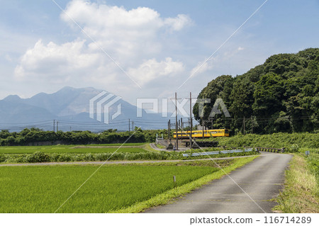火車穿越成熟的鄉村,背景是山脈 火車穿越成熟的鄉村,背景是山脈 116714289