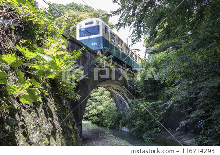 Train crossing a twisting bridge 116714293