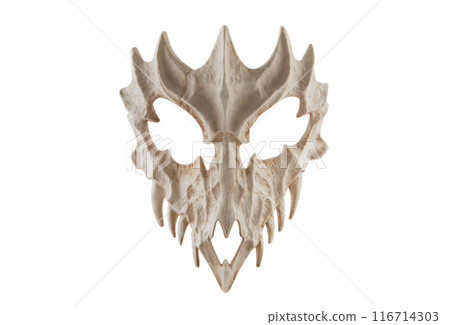 Dragon skull isolated on white background with clipping path Dragon skull isolated on white background with clipping path 116714303