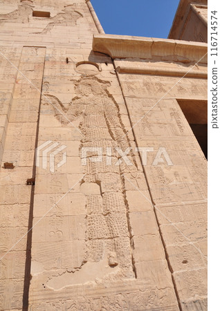 Philae Temple in Aswan 116714574