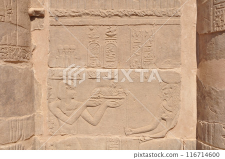 Philae Temple in Aswan 116714600