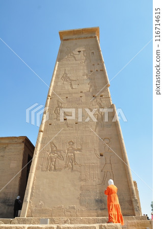 Philae Temple in Aswan 116714615