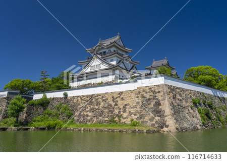初夏的岸和田城,大阪 初夏的岸和田城,大阪 116714633