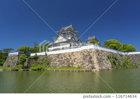 初夏的岸和田城，大阪 116714634