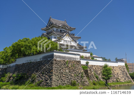 Osaka: Kishiwada Castle in early summer Osaka: Kishiwada Castle in early summer 116714639