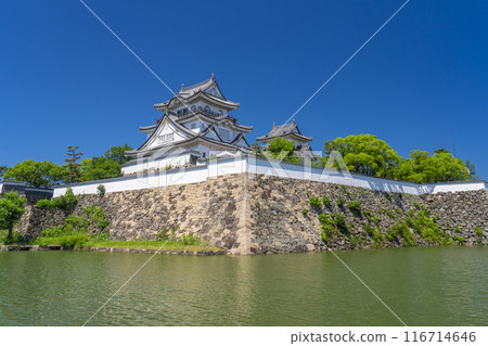 Osaka: Kishiwada Castle in early summer 116714646