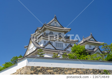 初夏的岸和田城,大阪 初夏的岸和田城,大阪 116714649