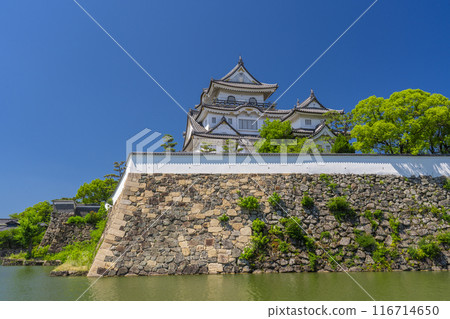 初夏的岸和田城，大阪 116714650