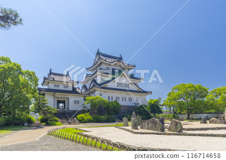 Osaka: Kishiwada Castle in early summer: Hachijin Garden 116714658