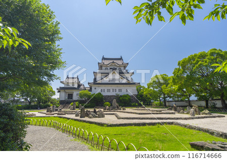 Osaka: Kishiwada Castle in early summer: Hachijin Garden 116714666
