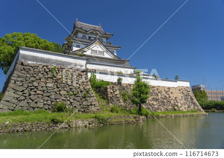 初夏的岸和田城,大阪 初夏的岸和田城,大阪 116714673