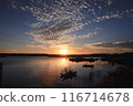 尼羅河的日落 116714678