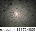Cloudy moon in the night 116714685