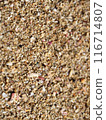Beach 116714807