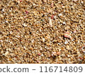Beach 116714809