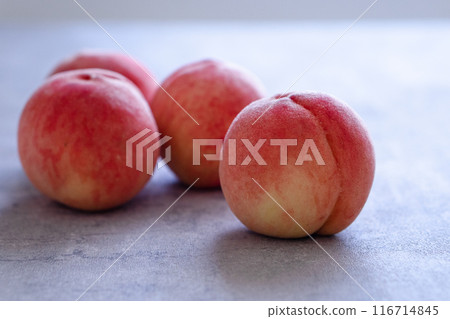 Hometown tax return gift: concrete background 116714845