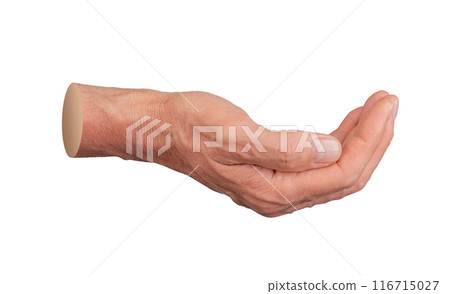 cup shaped hand gesture, holding space isolated on white background cup shaped hand gesture, holding space isolated on white background 116715027
