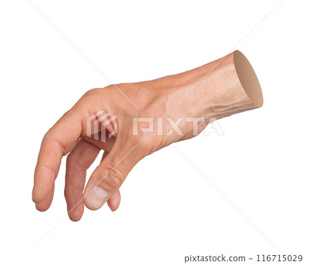 hand grabbing, taking isolated on white background 116715029