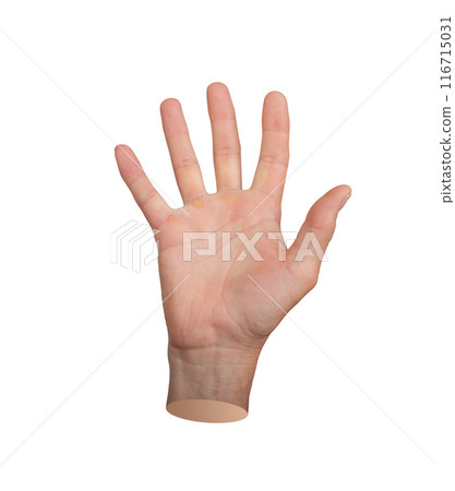 hi gesture, greeting, waving with palm, isolated on white background hi gesture, greeting, waving with palm, isolated on white background 116715031