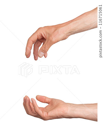 Hand giving, and palm fingers taking and getting isolated on white background Hand giving, and palm fingers taking and getting isolated on white background 116715061