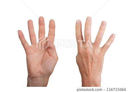 Hand showing four fingers, isolated on white background. Counting or signaling the number four 116715068
