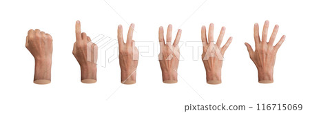 Hands counting, fingers count from back side, from null, one to five, isolated on white background. 116715069