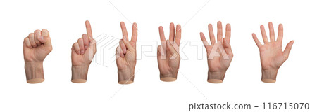 Hands counting, fingers count, from null, one to five, isolated on white background. 116715070