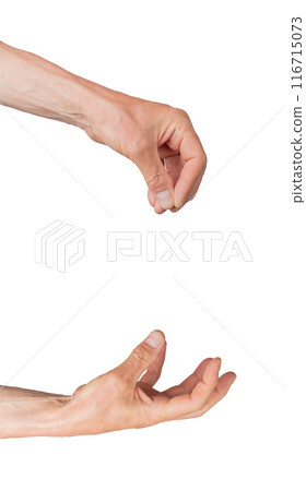 Hands giving, and palm taking and getting isolated on white background 116715073
