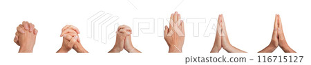 Intertwined entwined fingers set, clasped gestures, hand together, sign isolated on white background 116715127