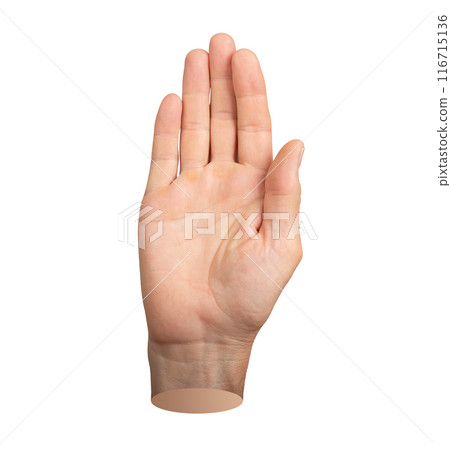 Palm hi, hand gesture, sign isolated on white background. 116715136