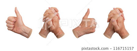 Thump up sign, supporting intertwined fingers, approving thumbup, entwined hands, gestures set, 116715157