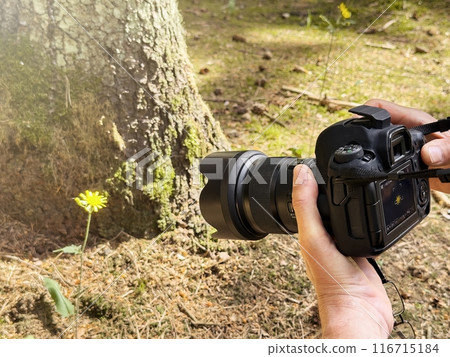 "Closeup images of cameras and photography equipment, focusing on lenses, technology, and "Closeup images of cameras and photography equipment, focusing on lenses, technology, and 116715184