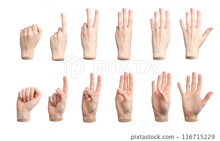Hands counting, fingers count from different back and front sides, from null, one to five, isolated 116715229
